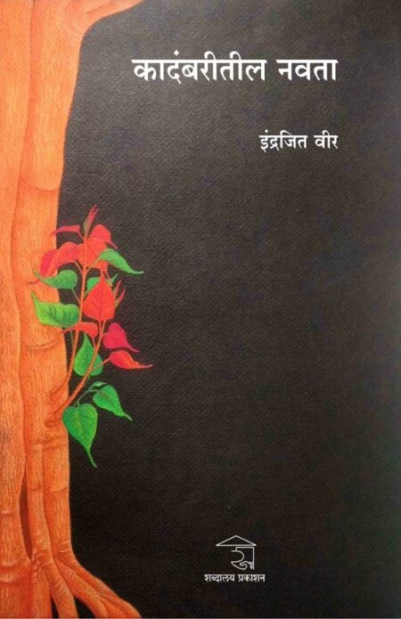 Kadambaritil Navta | कादंबरीतील नवता by Indrajit Vir