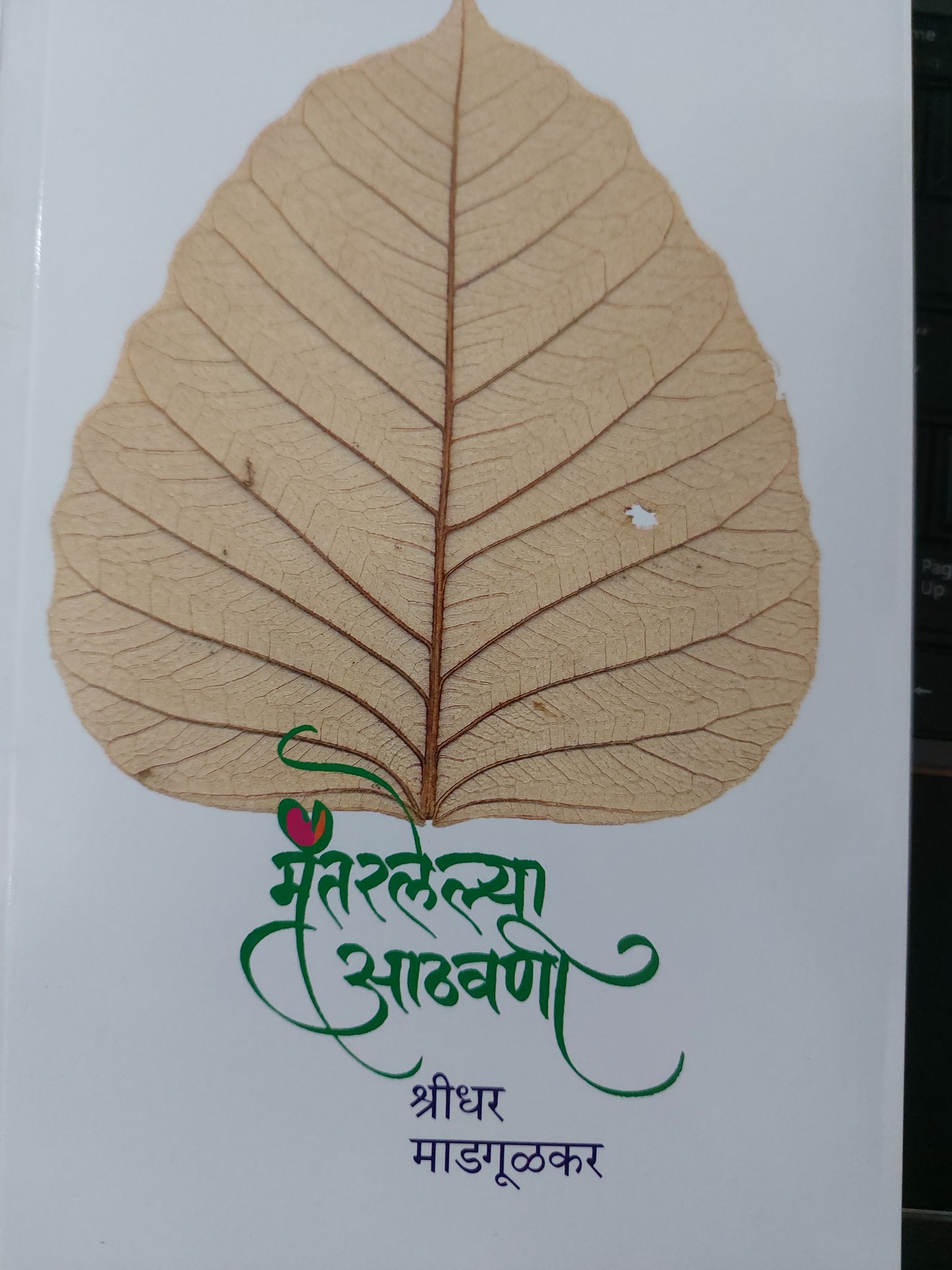 Mantarlelya athavani मंतरलेल्या आठवणी
श्रीधर माडगूळकर