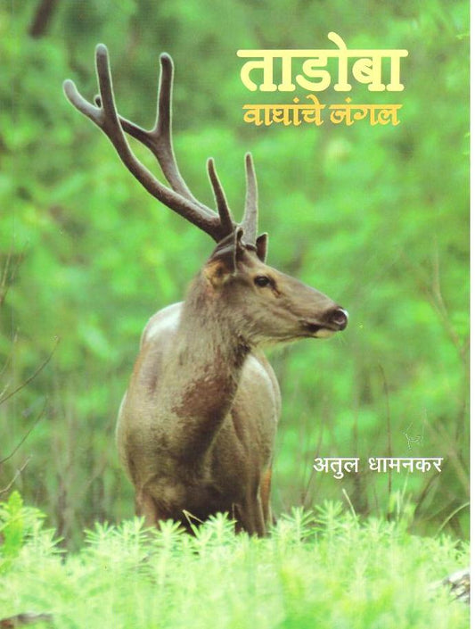 Tadoba рддрд╛рдбреЛрдмрд╛ by рдЕрддреБрд▓ рдзрд╛рдордгрдХрд░ Atul Dhamankar