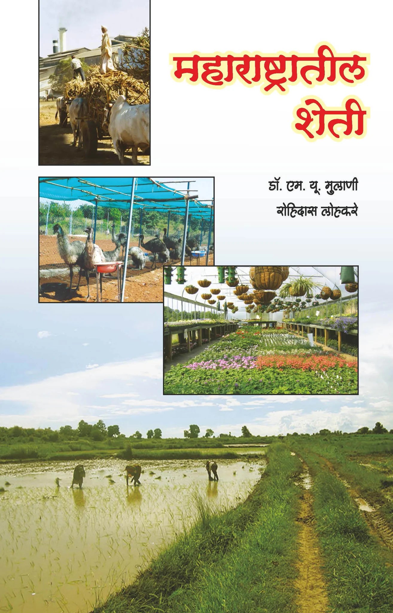 महाराष्ट्रातील शेती by Rohidas Lohkare payal-books