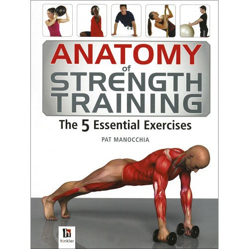 Anatomy of Strength Training by Pat Manocchia – PAYAL BOOKS