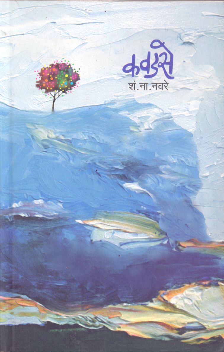 Kavadase by S.N.Navare कवडसे by एस.एन.नवरे