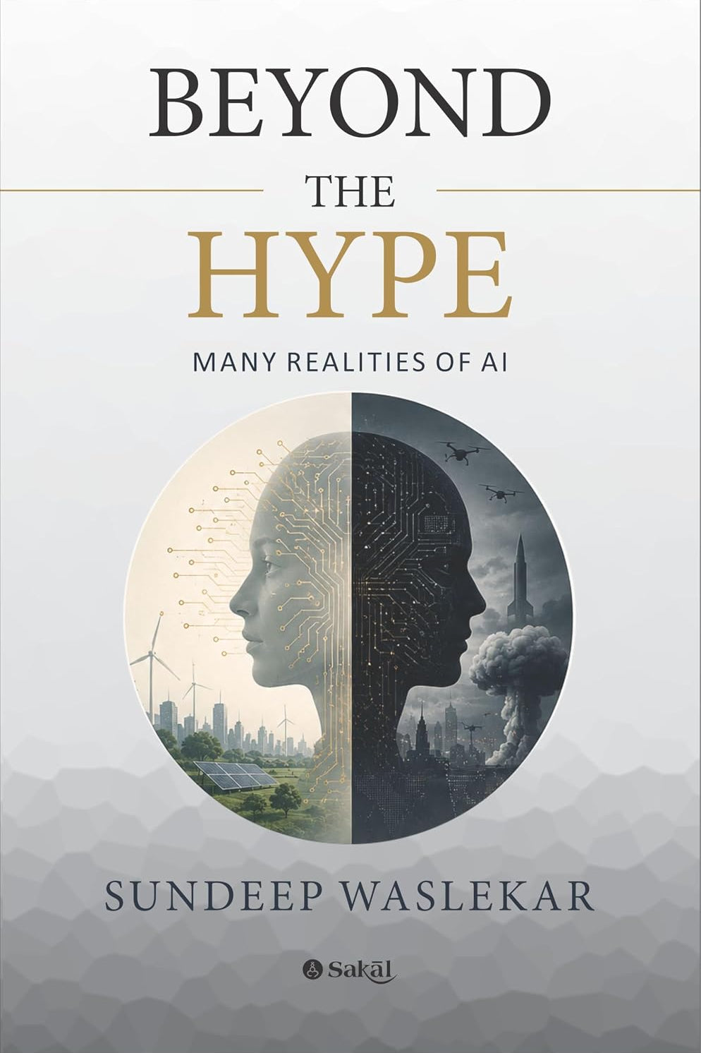 Beyond the Hype By Sundeep Waslekar  