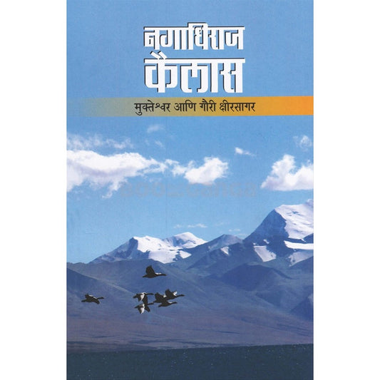 Nagadhiraj Kailas By Gauri Kshirsagar नगाधिराज कैलास