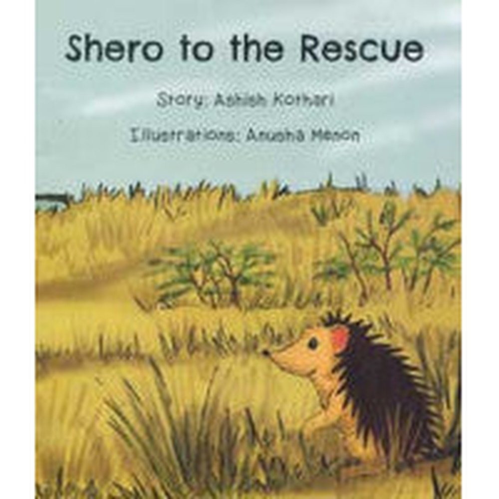 Shero to the Rescue Ashish Kothari