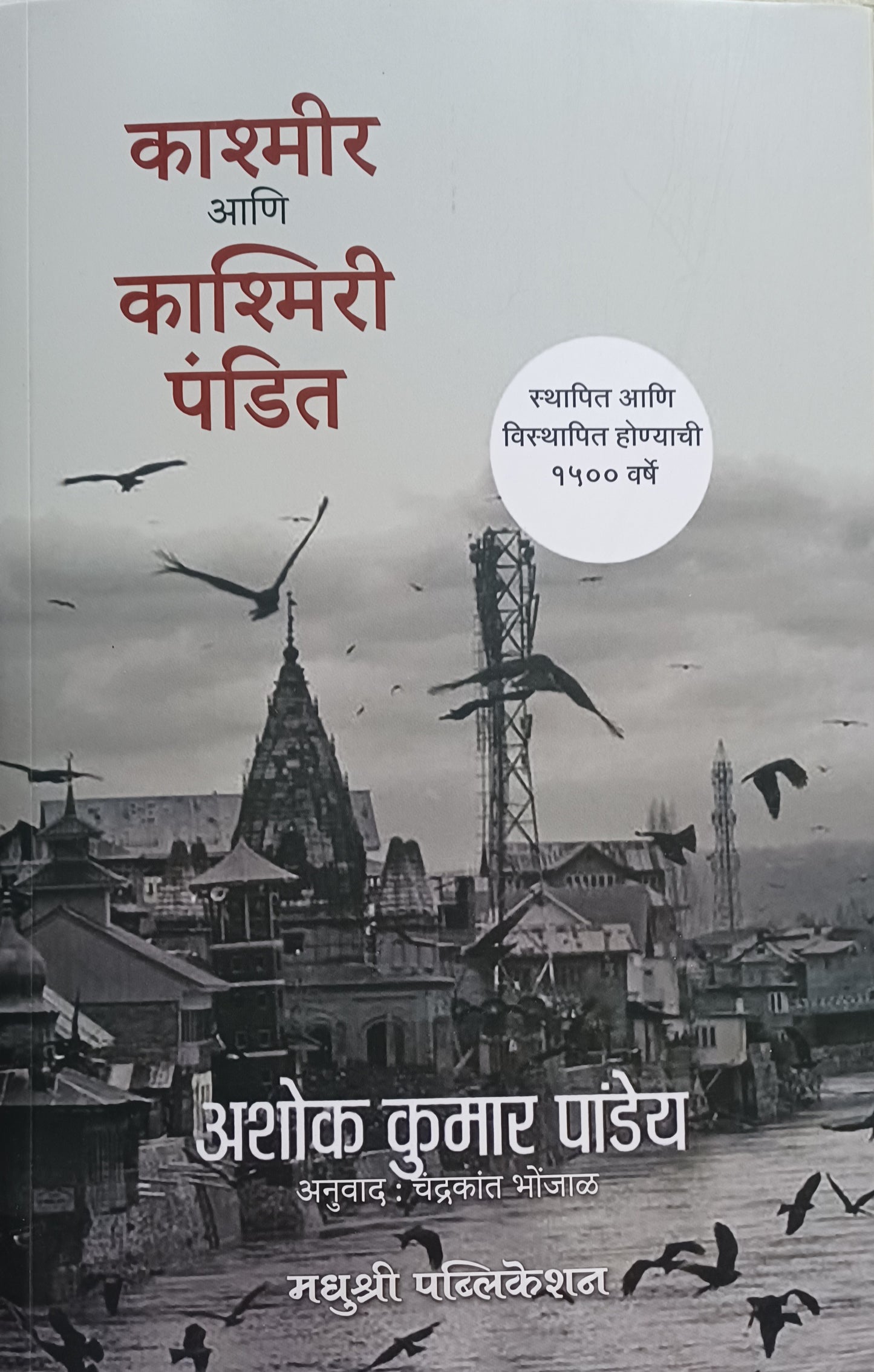 Kashmir ani Kashmiri pandit काश्मीर आणि काश्मिरी पंडित by Ashok Kumar Pandit