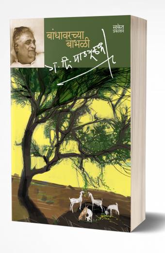 Bandhawarchya Babhali | बांधावरच्या बाभळी by G. D. Madgulkara