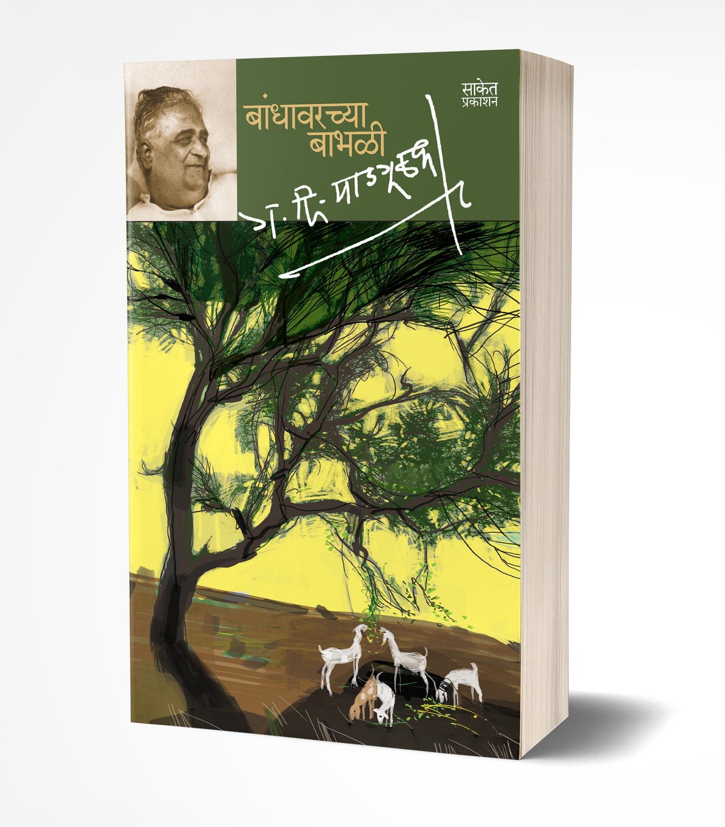 Bandhawarchya Babhali | बांधावरच्या बाभळी by AUTHOR :- G. D. Madgulkar