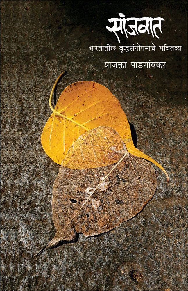 Sanjavat  By Prajakta Padgaonkar